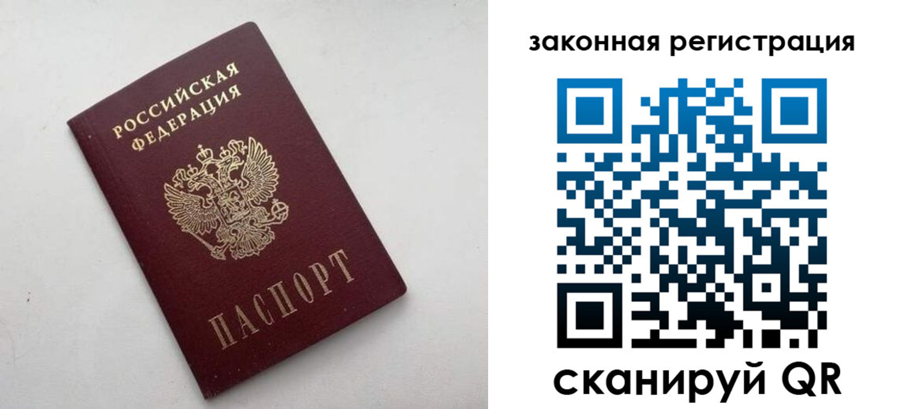 прописка 2025 в Фрязино